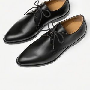 Everlane Modern Oxford in Black, sz 8